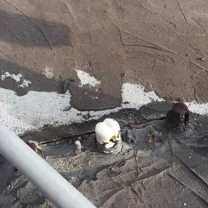 Slide of Steve Dinnen Services