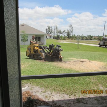 Tim's Tree Service - Went deep to remove all the stump. - Tree Services Near Me - Cape Coral, Florida Tim's Tree Service - Went deep to remove all the stump. - Tree Services Near Me - Cape Coral, Florida
