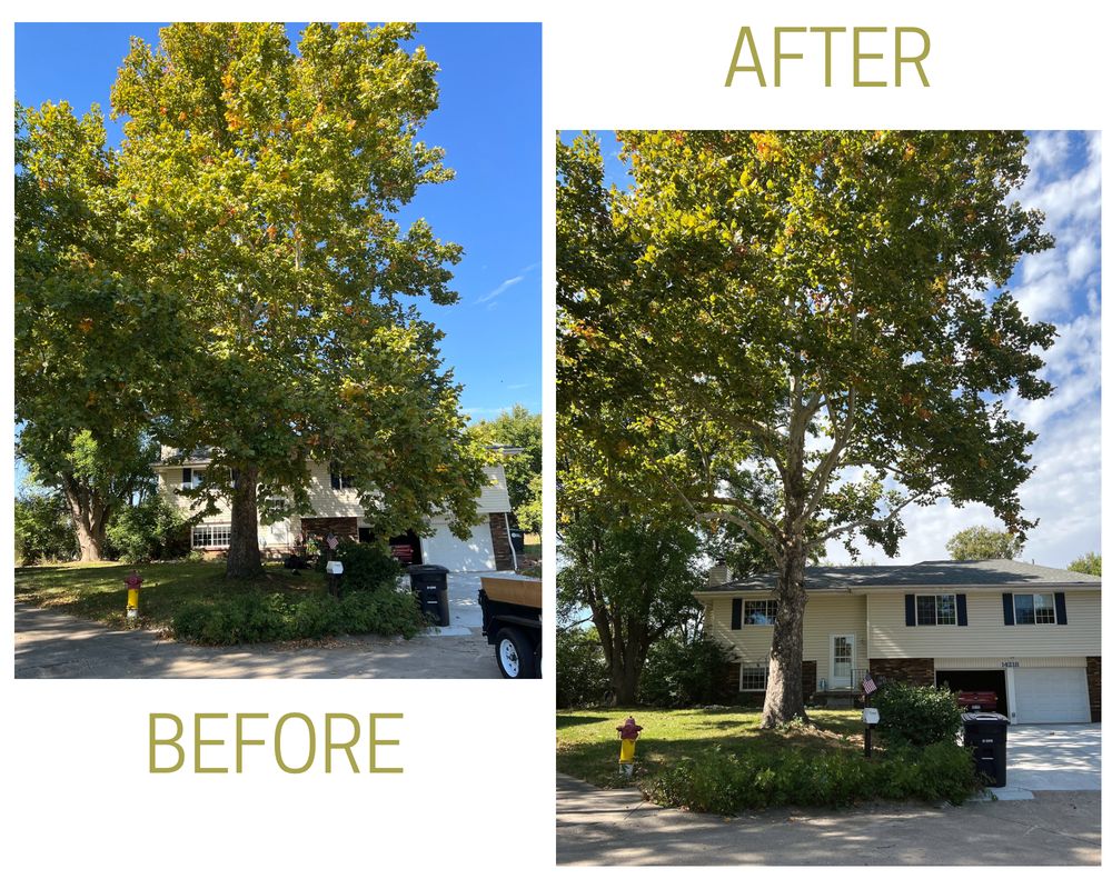 BIG TIMBER TREE SERVICE Updated August 2024 Request a Quote Omaha