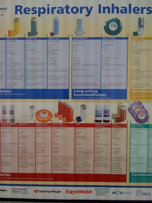 ALLERGY AND ASTHMA ASSOCIATES OF MICHIGAN 17 Reviews Allergists