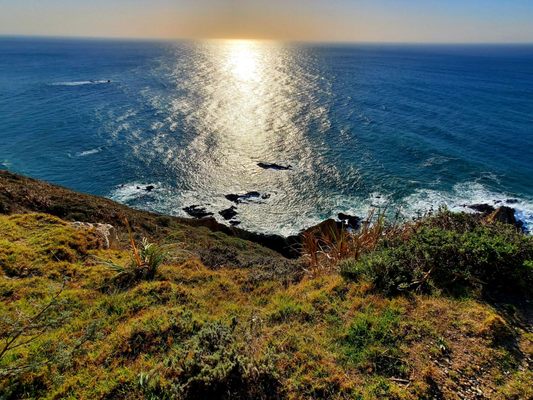 SEA OTTER REFUGE VIEW POINT - Updated December 2024 - 28428 Cabrillo