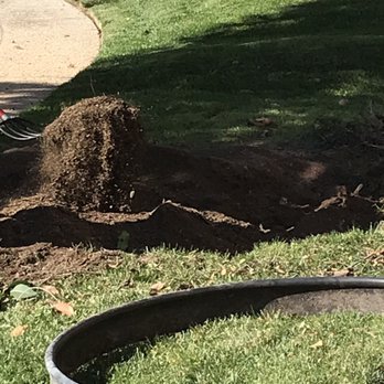 JBS Tree Care - Tree Services Near Me - Pomona, California