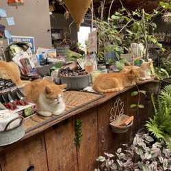 Whispering Winds Nursery