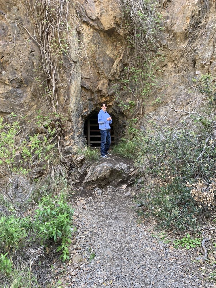Skyline Drive Trails
