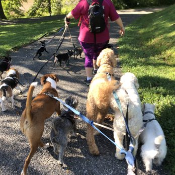 ZimZim walk the dog baltimore - PACK WALK - Dog Walkers Near Me ZimZim walk the dog baltimore - PACK WALK - Dog Walkers Near Me