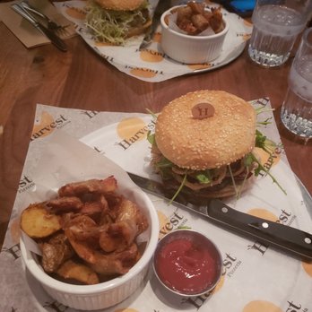 Harvest Bar + Kitchen - Harvest burger - Pizza Near Me - Columbus, Ohio