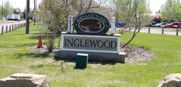 Inglewood Bird Sanctuary by null