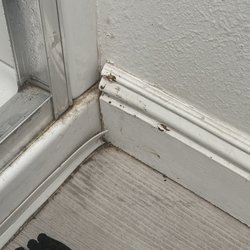 The Haven River Inn - mold in bathroom