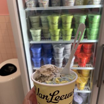 Van Leeuwen Ice Cream - Boulder - Cookies and Cream and berry ice cream - Ice Cream & Frozen Yogurt Near Me - Boulder, Colorado Van Leeuwen Ice Cream - Boulder - Cookies and Cream and berry ice cream - Ice Cream & Frozen Yogurt Near Me - Boulder, Colorado