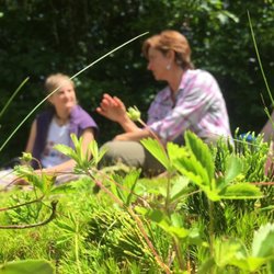 Urban Edge Forest Therapy