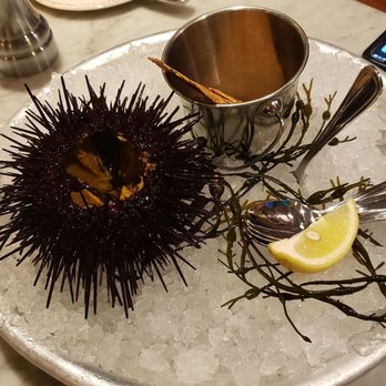 Bluewater Grill - Fresh sea urchin - Seafood Near Me - Santa Barbara, California Bluewater Grill - Fresh sea urchin - Seafood Near Me - Santa Barbara, California
