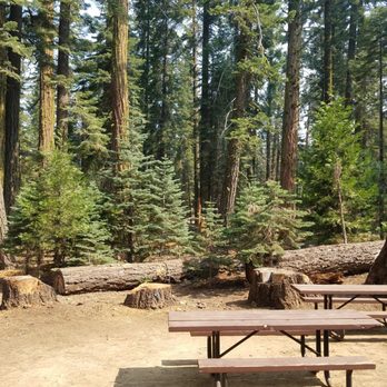 Bear River Group Campground - Campgrounds Near Me - Pioneer, California