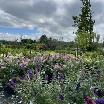 Bristol's Garden Center - Nurseries & Gardening Near Me - Victor, New York