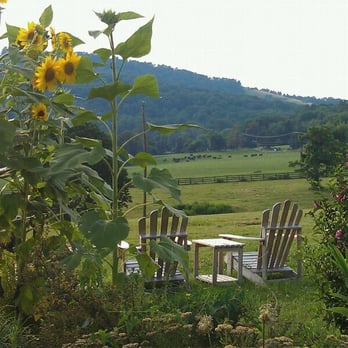 Jefferson Vineyards - Picnic - Wineries Near Me - Charlottesville, Virginia Jefferson Vineyards - Picnic - Wineries Near Me - Charlottesville, Virginia