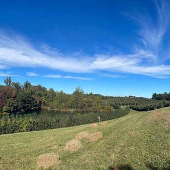 Perry Lowe Orchards - Our orchard in the fall. - Fruits & Veggies Near Me - Moravian Falls, North Carolina Perry Lowe Orchards - Our orchard in the fall. - Fruits & Veggies Near Me - Moravian Falls, North Carolina