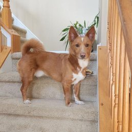 Our furbaby!