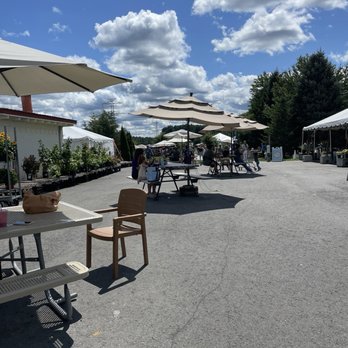 Ward's Berry Farm - outdoor seating - Delis Near Me - Sharon, Massachusetts