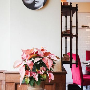 La Tomate - Lunch: Monday - Sunday 11:30 A.M - 3:30 P.M,
Aperitivo: Sunday - Thursday 3:30 P.M. to 5:45 P.M, - Italian Near Me - Washington, DC, District of Columbia La Tomate - Lunch: Monday - Sunday 11:30 A.M - 3:30 P.M,
Aperitivo: Sunday - Thursday 3:30 P.M. to 5:45 P.M, - Italian Near Me - Washington, DC, District of Columbia