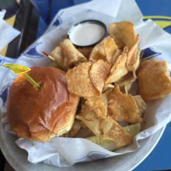 LandShark Bar & Grill - North Myrtle Beach - Mushroom Burger - Bars Near Me - North Myrtle Beach, South Carolina LandShark Bar & Grill - North Myrtle Beach - Mushroom Burger - Bars Near Me - North Myrtle Beach, South Carolina