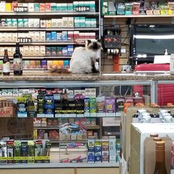 14-0 Express Carryout - Smokes, chew, and cat.