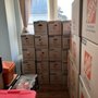 Photo of Essential Pro Movers