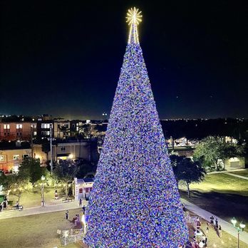 The 100 Foot Christmas Tree - Holiday Decorations Near Me - Delray Beach, Florida The 100 Foot Christmas Tree - Holiday Decorations Near Me - Delray Beach, Florida
