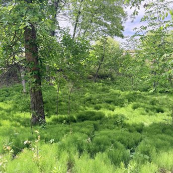 Forest Glen Woods - Parks Near Me - Chicago, Illinois