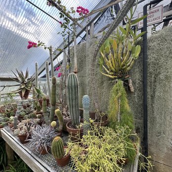 Deep Cut Gardens - Botanical Gardens Near Me - Middletown, New Jersey