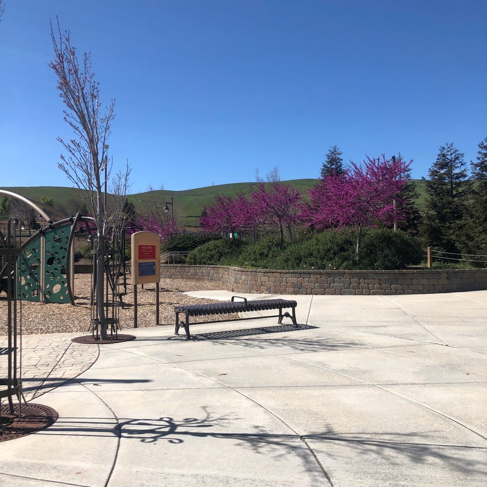 Trees are in bloom And beautiful 3/25/21 Trees are in bloom And beautiful 3/25/21