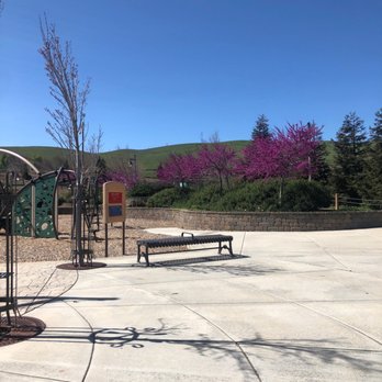 Cordelia Community Park - Trees are in bloom And beautiful 3/25/21 - Parks Near Me - Fairfield, California