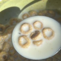 Bug in food