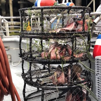 Newport Tradewinds - Crab pots. $20 to add to any fishing trip. - Boating Near Me - Newport, Oregon