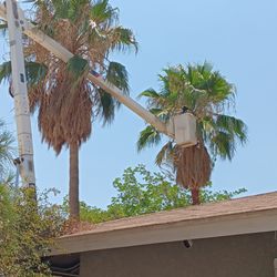 Lopez Landscaping