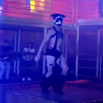 Bonham Exchange - Dance floor - Dance Clubs Near Me - San Antonio, Texas