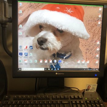 County Line Veterinary Clinic - Bearbear at Christmas on his Daddy's screensaver - Veterinarians Near Me - New Braunfels, Texas County Line Veterinary Clinic - Bearbear at Christmas on his Daddy's screensaver - Veterinarians Near Me - New Braunfels, Texas
