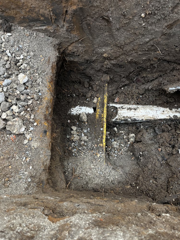 Slide of Arkansas Rooter