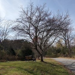 Bench