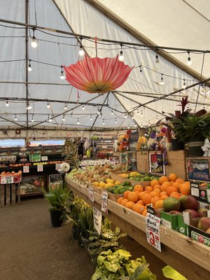 Newcastle Fruit & Produce Co. by null