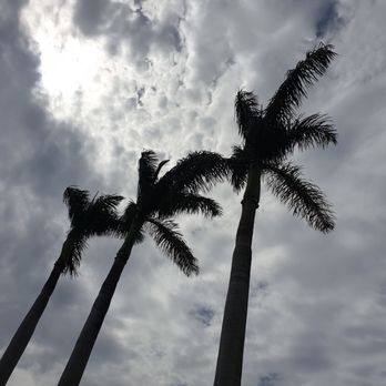 Touch Of Class Tree Service - Tree Services Near Me Touch Of Class Tree Service - Tree Services Near Me