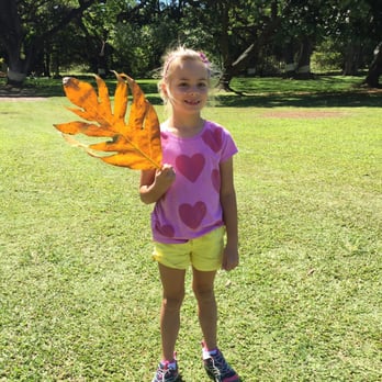 Moanalua Gardens - The kids love gathering beautiful large leaves around the gardens. - Parks Near Me - Honolulu, Hawaii Moanalua Gardens - The kids love gathering beautiful large leaves around the gardens. - Parks Near Me - Honolulu, Hawaii