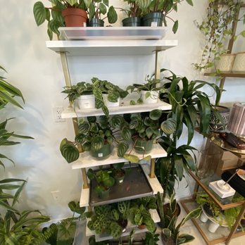 Spellcraft - Jewelry Near Me - Campbell, California