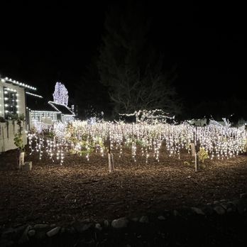 123 Farm - Lights - Farmers Market Near Me - Cherry Valley, California 123 Farm - Lights - Farmers Market Near Me - Cherry Valley, California