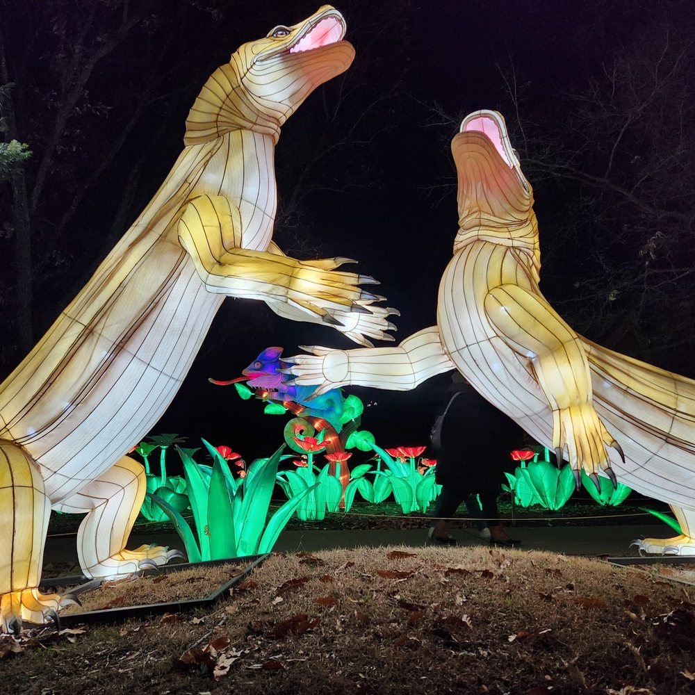 Chattanooga Zoo At Warner Park - Asian Lantern Festival 2022-2023 - Amusement Parks Near Me - Chattanooga, Tennessee