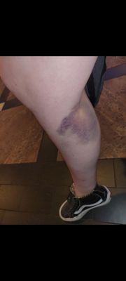 The L.A. Grand Hotel Downtown by null