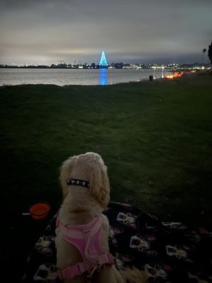 Mission Bay Park by null