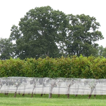 Sugarloaf Mountain Vineyard - Wineries Near Me - Dickerson, Maryland