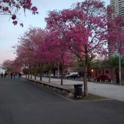 Paseo de la Diversidad Sexual