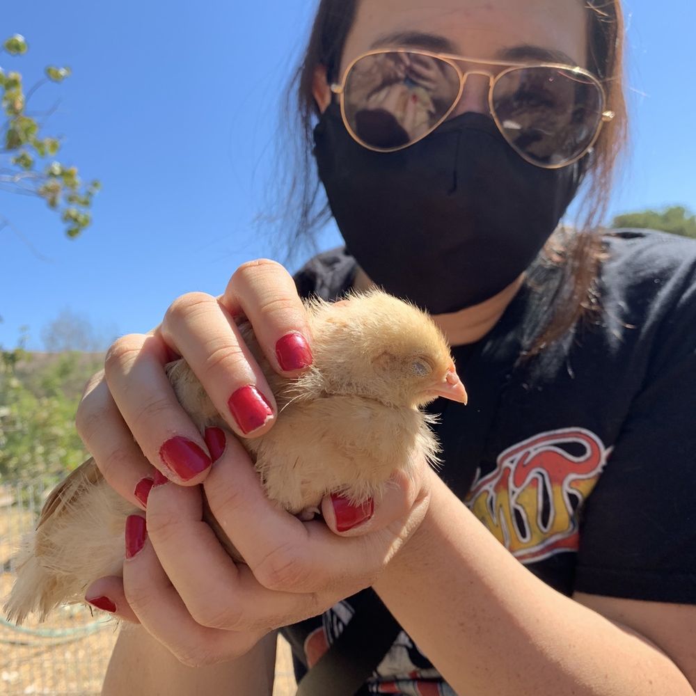 Back-to-Eden Ranch - Attraction Farms Near Me - Gilroy, California