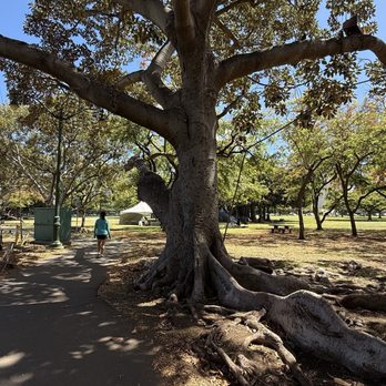 Kapiolani Park - Parks Near Me - Honolulu, Hawaii Kapiolani Park - Parks Near Me - Honolulu, Hawaii