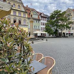 Fischmarkt Erfurt - ... Impressionen ...